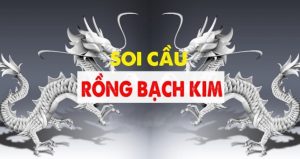 Giới thiệu sơ lược về soi cầu rồng bạch kim 77win là gì?