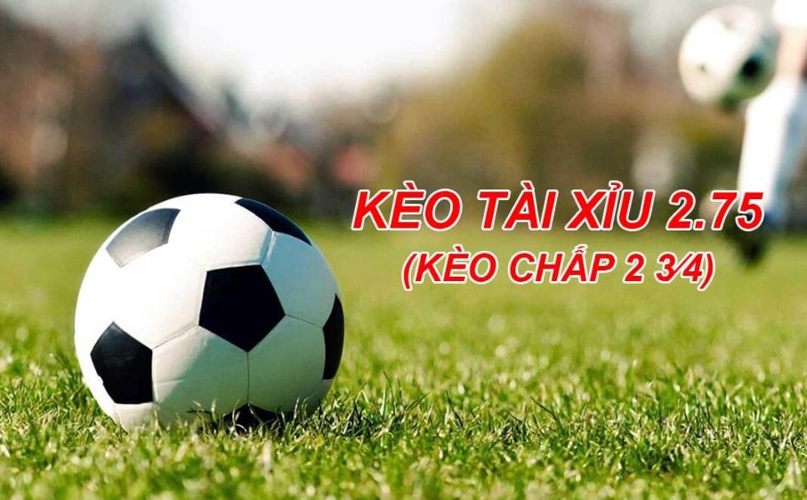 Kinh nghiệm đặt cược kèo chấp 2.75